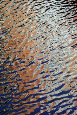 EXPOSITIONS ADRIENNE ARTH  MAI-JUIN  2011 EXPOSITIONS ADRIENNE ARTH  MAI-JUIN  2011