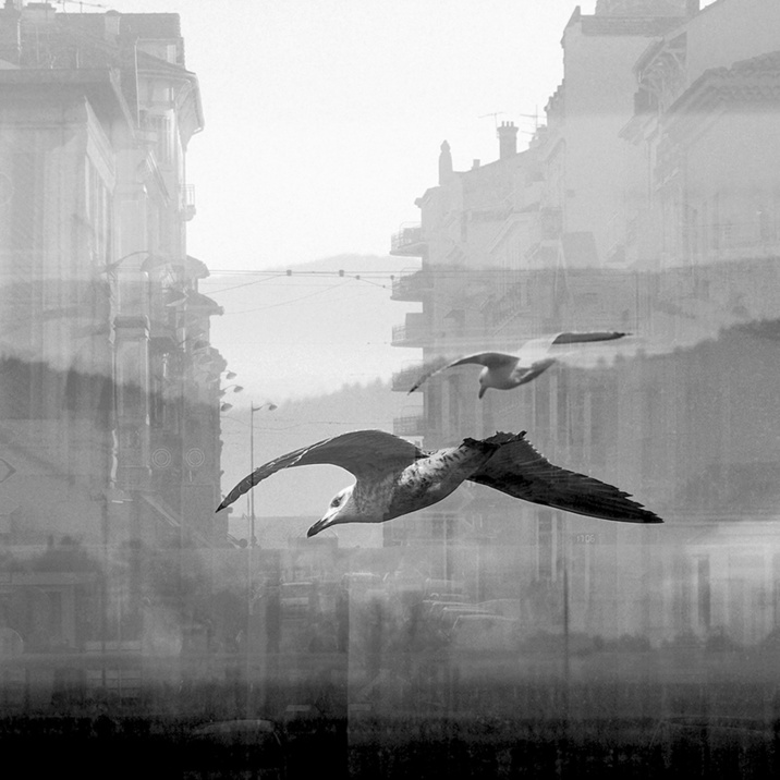 ADRIENNE ARTH : PARUTION DE PAYSAGES DE CERVEAU, PHOTOSGRAPHIE D'ADRIENNE ARTH ADRIENNE ARTH : PARUTION DE PAYSAGES DE CERVEAU, PHOTOSGRAPHIE D'ADRIENNE ARTH