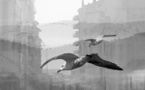 ADRIENNE ARTH : PARUTION DE PAYSAGES DE CERVEAU, PHOTOSGRAPHIE D'ADRIENNE ARTH